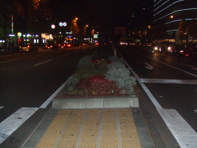 2005_1130itai20158.JPG